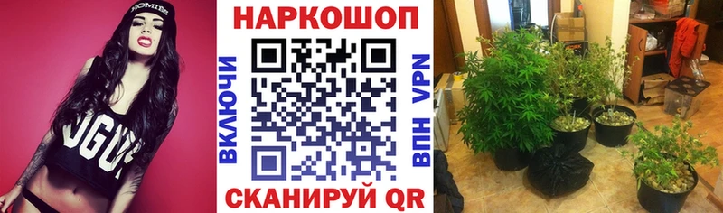 Цена Рыльск Марихуана  A-PVP  Меф 