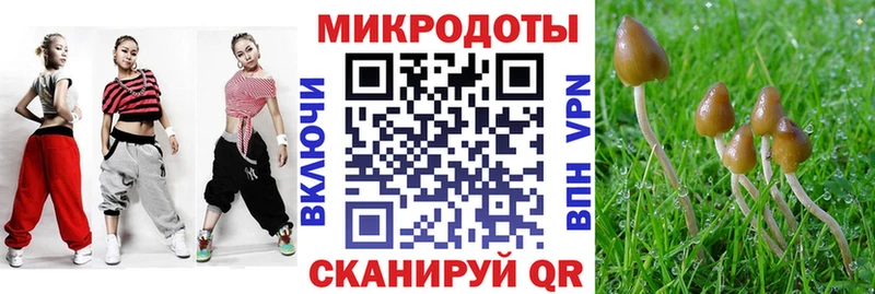 Галлюциногенные грибы прущие грибы  купить наркоту  Рыльск 