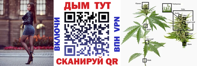 Шишки марихуана планчик  Рыльск 